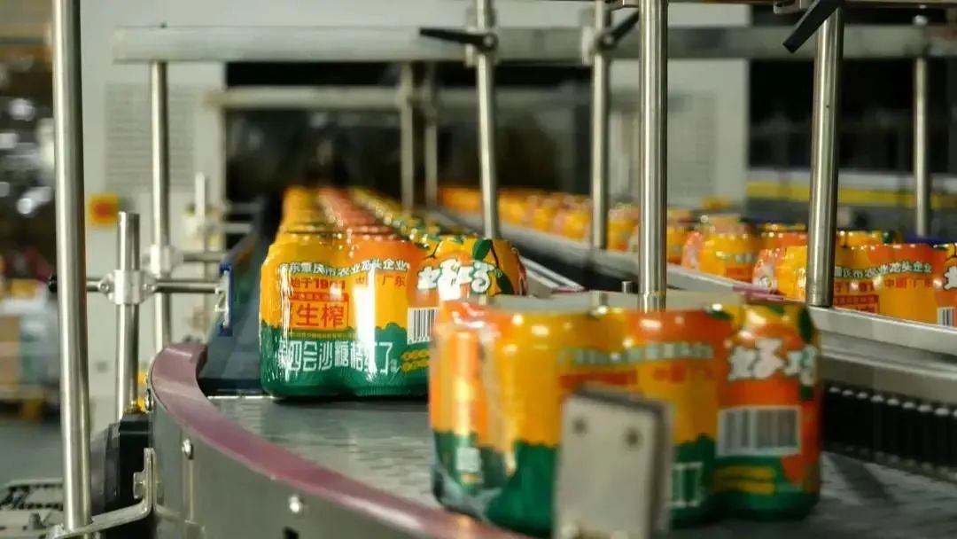 四會大沙：以桔為媒搭起“兩化融合”一道橋